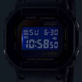 DW-5600RW-1